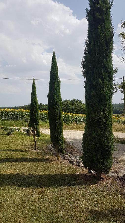Charmant Logement A La Campagne Gazaupouy Экстерьер фото